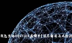 冷钱包里的USDT（U）在哪里？详尽解析与风险防范