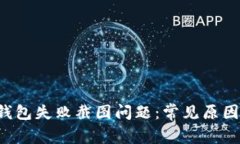 如何解决U钱包失败截图问题：常见原因及解决方